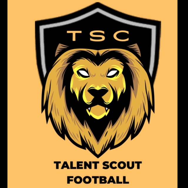 TalentScoutFootball
